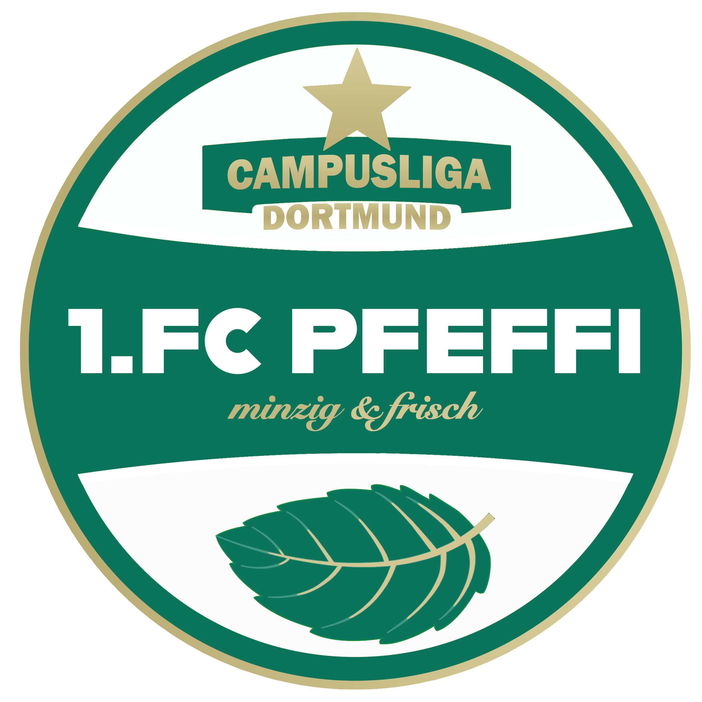 1.FC PFEFFI
