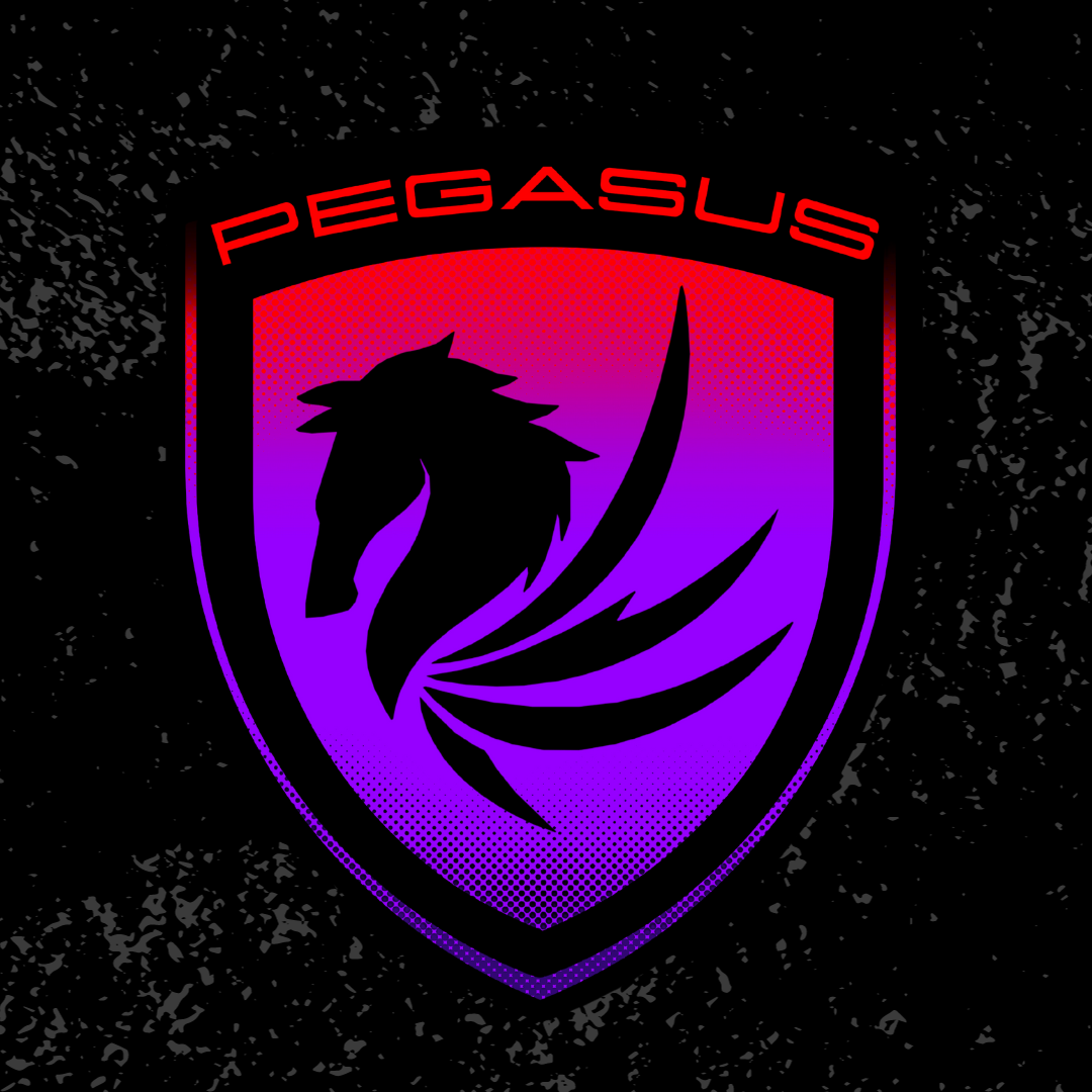 Pegasus E-Sport Team