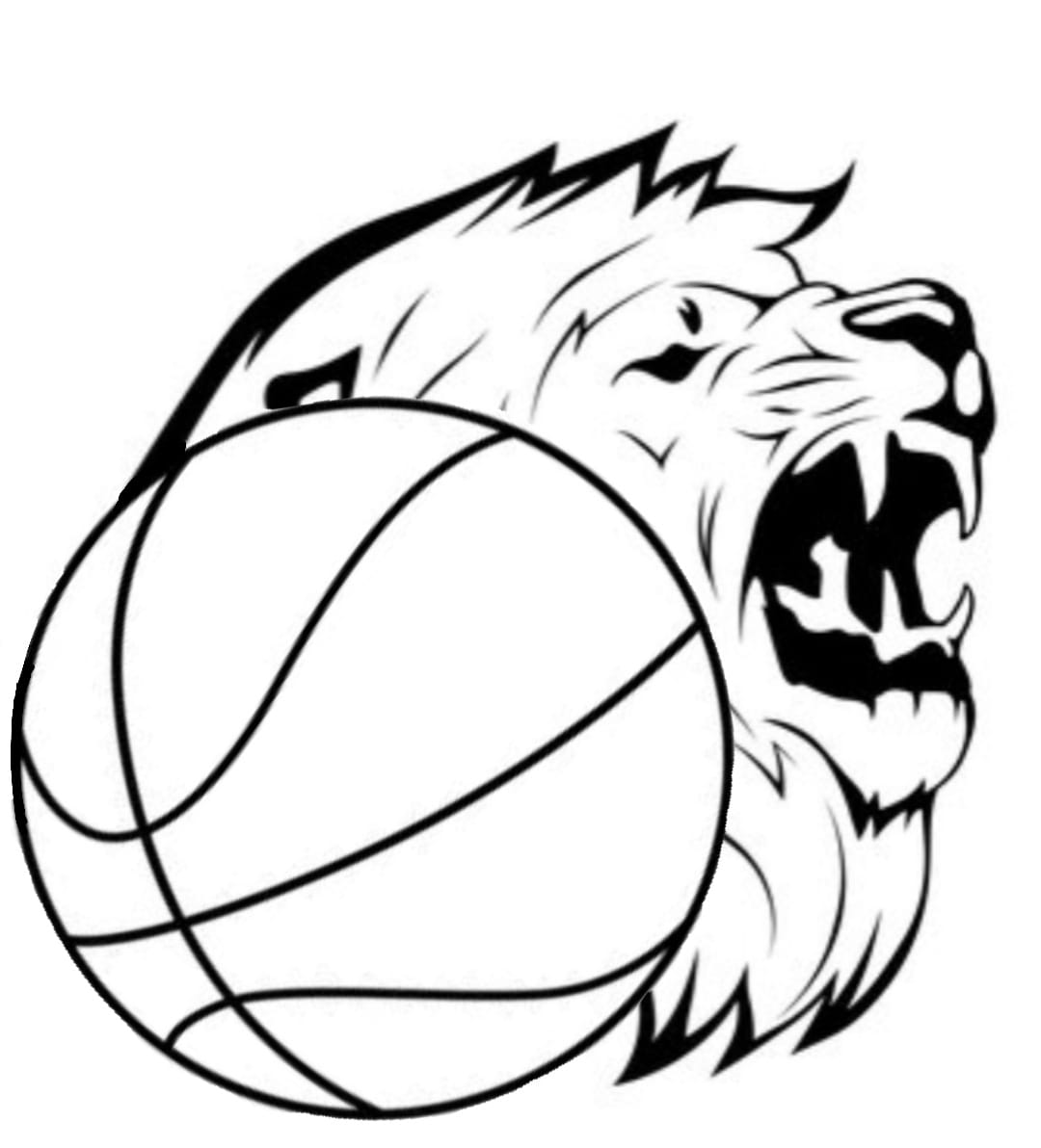 Fanshop Baskets Lions Adenau @ TuWi Adenau