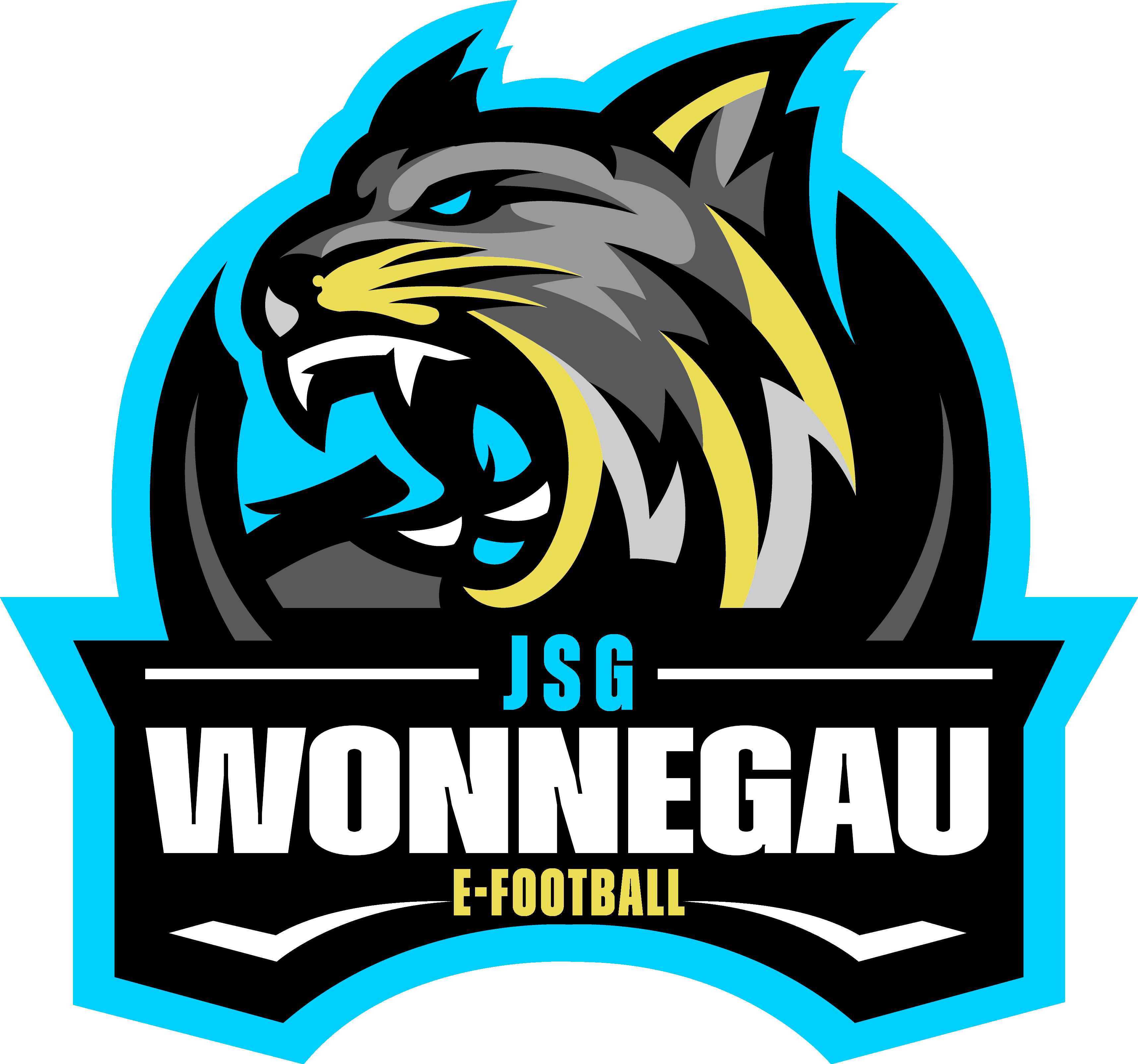 JSG Wonnegau eFOOTBALL