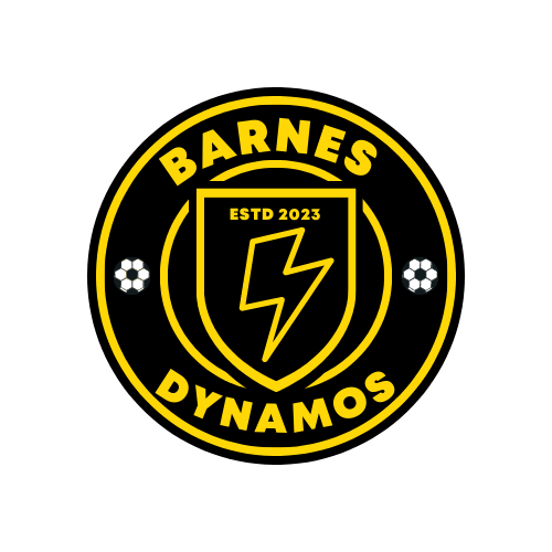 Barnes Dynamos