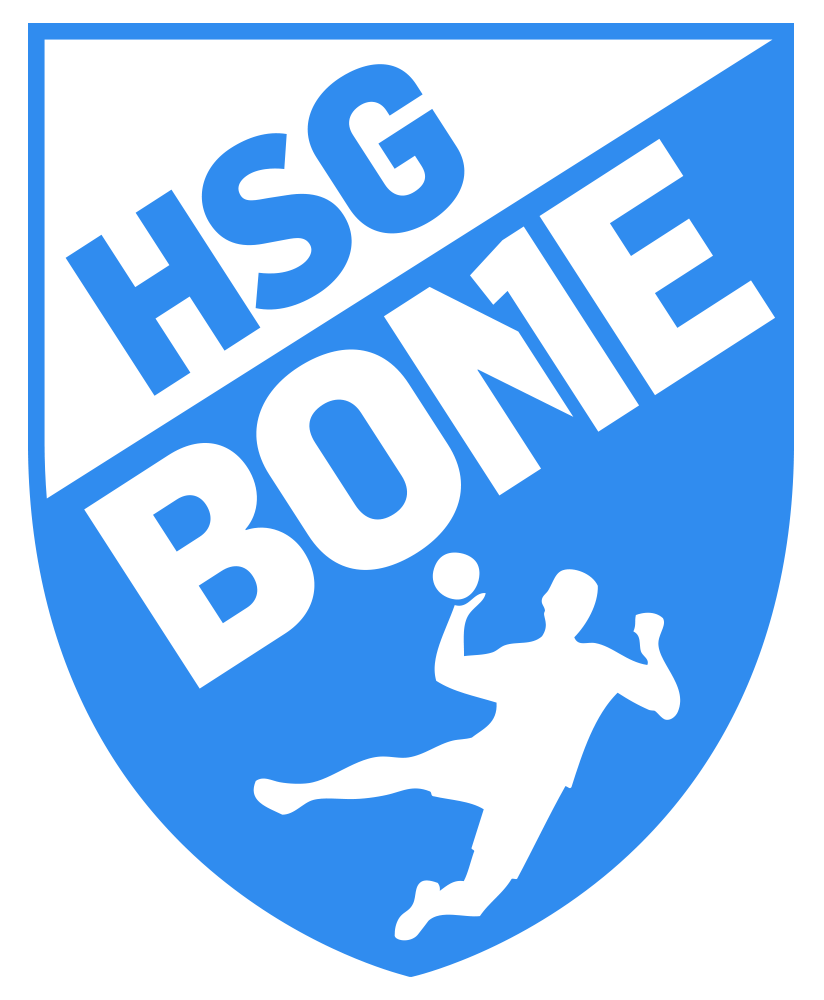 HSG B-one